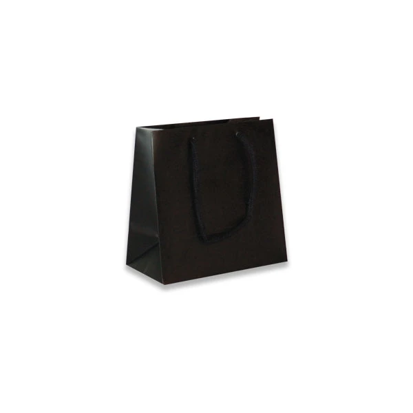 Black Matte Laminated Eurototes - 6-1/2" x 3-1/2" x 6-1/2" - 100 Bags/Case