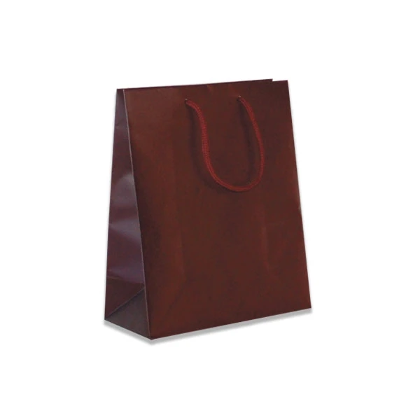 100 Bags - Matte Laminated Euro Paper Bags