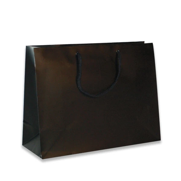 Black Matte Laminated Eurotote Bags - 13" x 5" x 10" - 100 Bags/Case