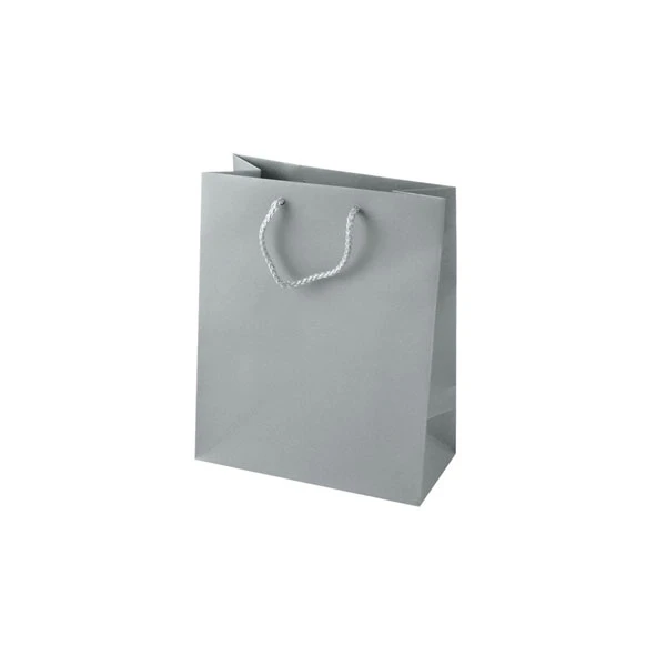Silver Matte Laminated Eurototes - 6" x 3-1/2" x 6-1/2" - 100 Bags/Case