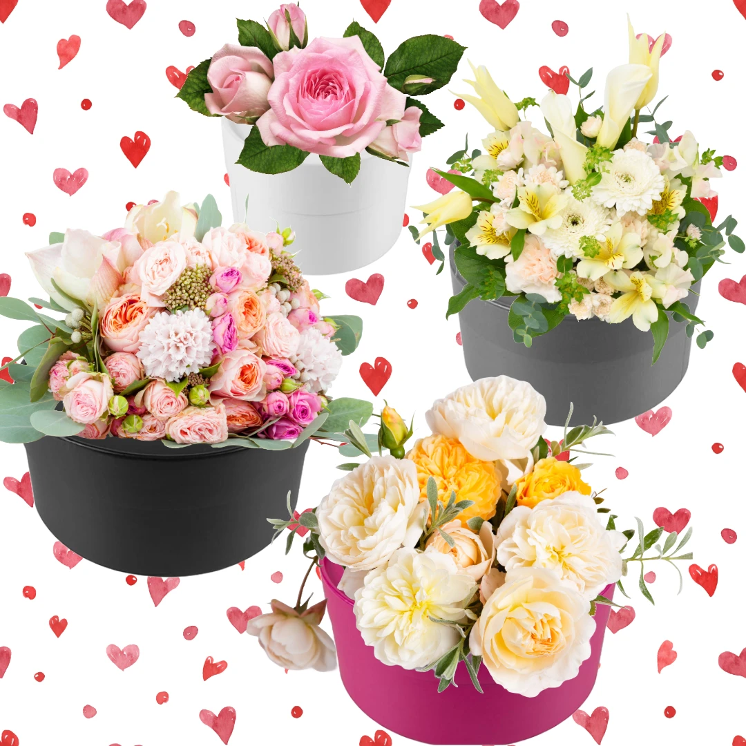 4 Boxes - Round Flower Gift Boxes - 9" Diameter Black