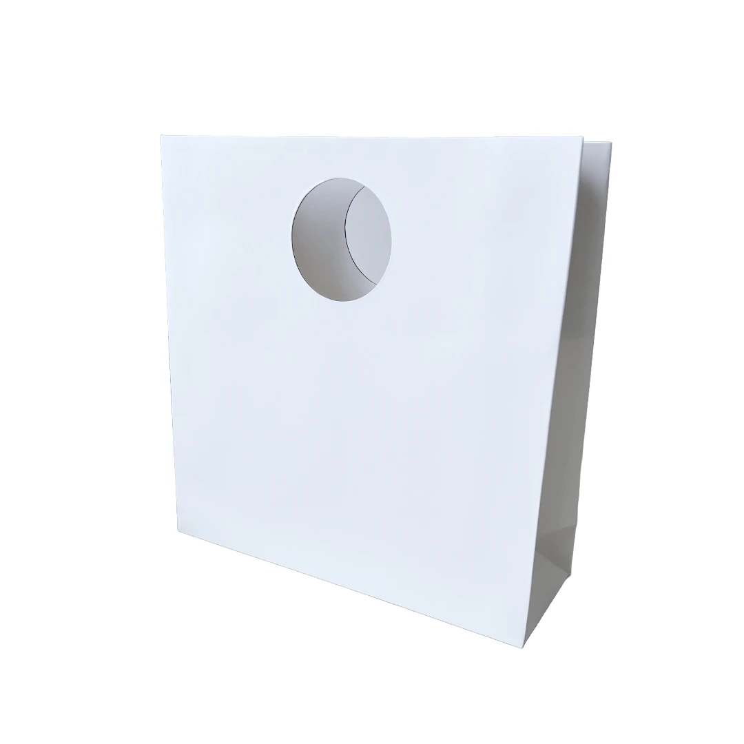 100 Bags - Custom Printed Mod Billboard Bags - White - 12" x 4" x 12"
