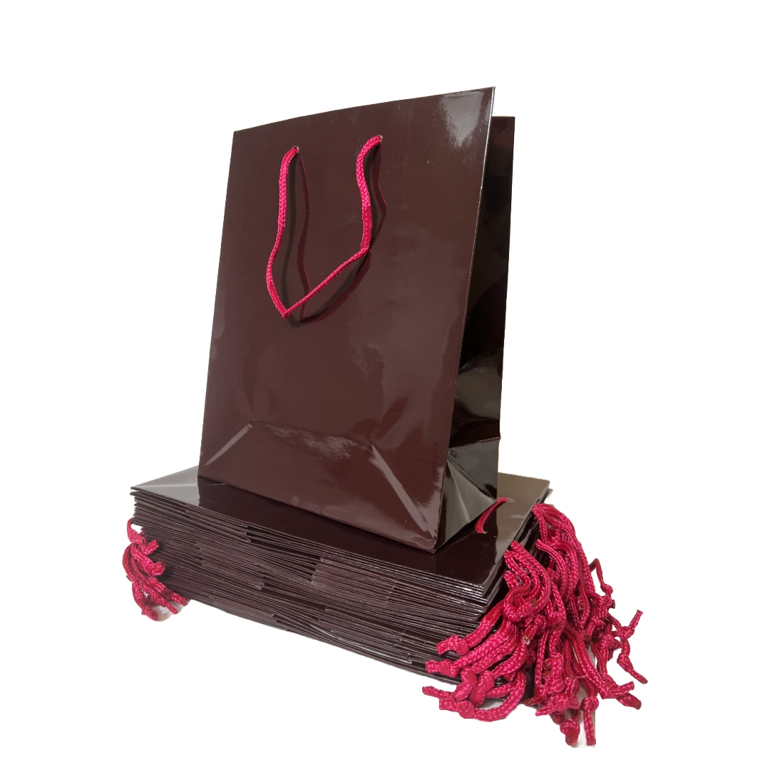 25 Bags - Burgundy Gloss Laminated Euro Paper Bags - 8" x 4" x 10"