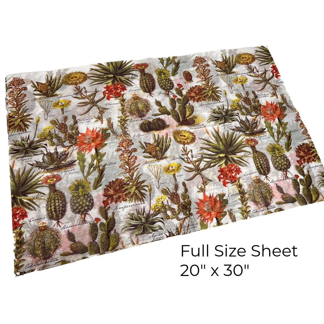 240 Sheets - Toadstools New Patterned Tissue
